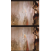 Thor : The Dark World - Framed Film Cells