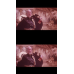 Dune - Framed Film Cells
