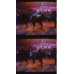 TMNT 2 - Framed Film Cells