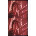 Indiana Jones : Temple of Doom - Framed Film Cells