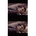 Star Trek Insurrection - Framed Film Cells