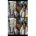 Mad Max 2 - Framed Film Cells